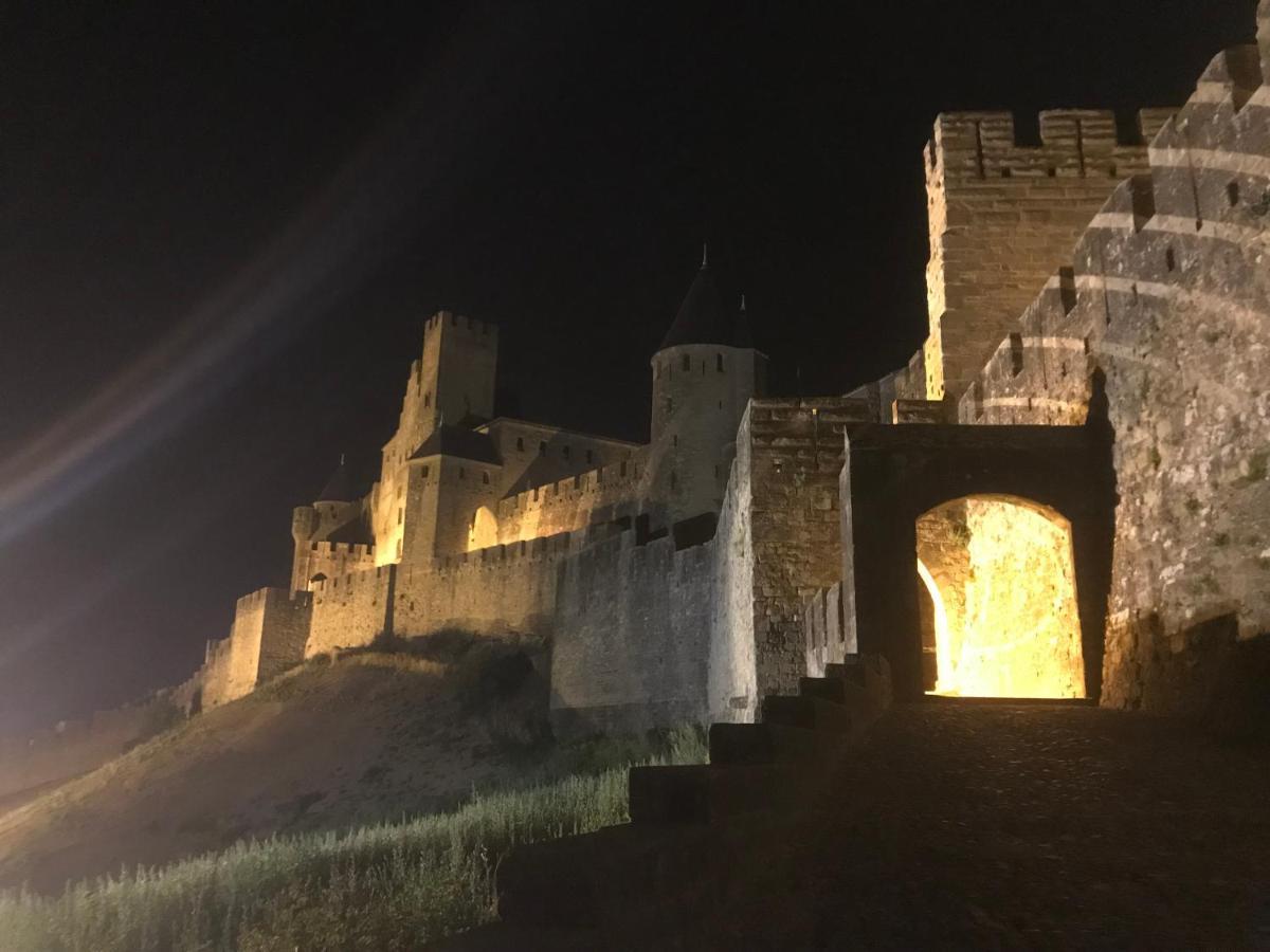Le Clos Saint Michel Carcassonne Eksteriør billede
