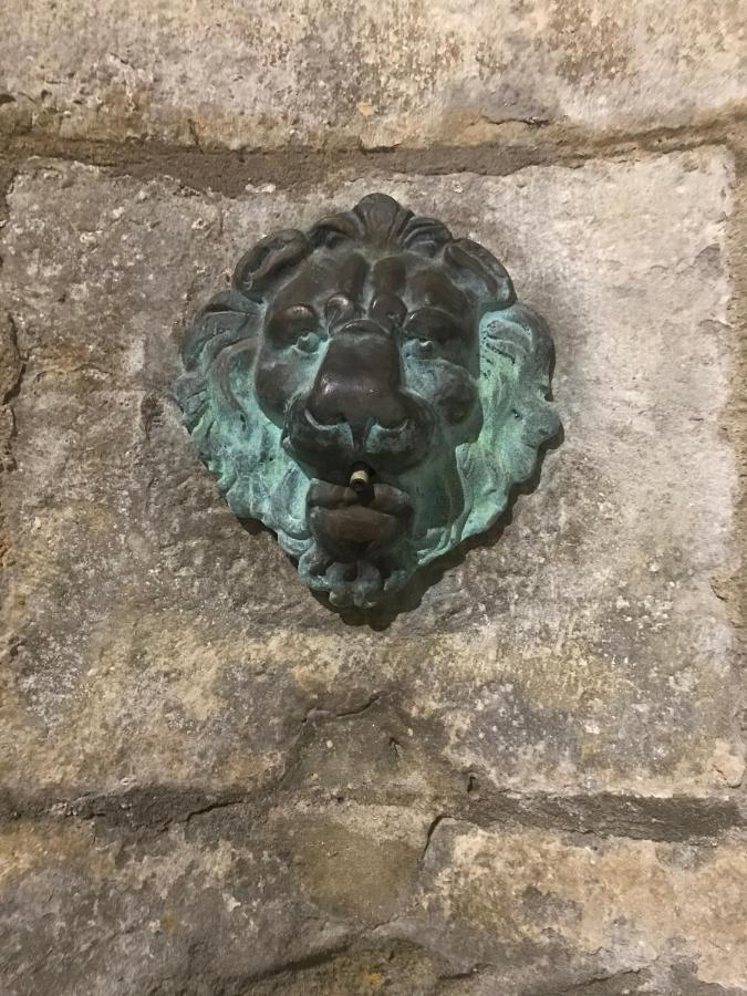 Le Clos Saint Michel Carcassonne Eksteriør billede