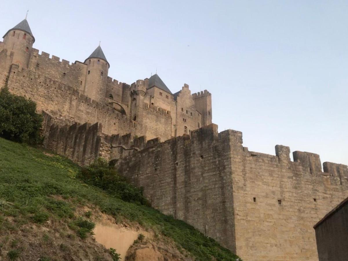 Le Clos Saint Michel Carcassonne Eksteriør billede
